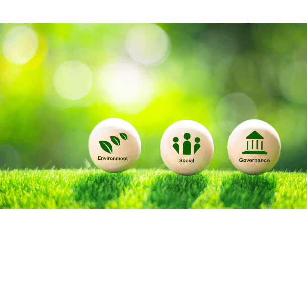 environment social governance